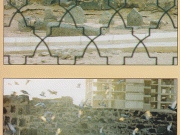 Demolition Anniversary of Al-Baqi Cemetery on 8th Shawwal Demolition Anniversary of Al-Baqi Cemetery on 8th Shawwal