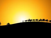 Forty days of grief: Ordeal of Imam Hussain’s (AS) family