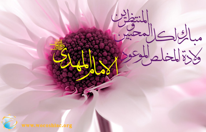 Image is not available