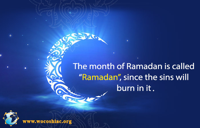 Image is not available